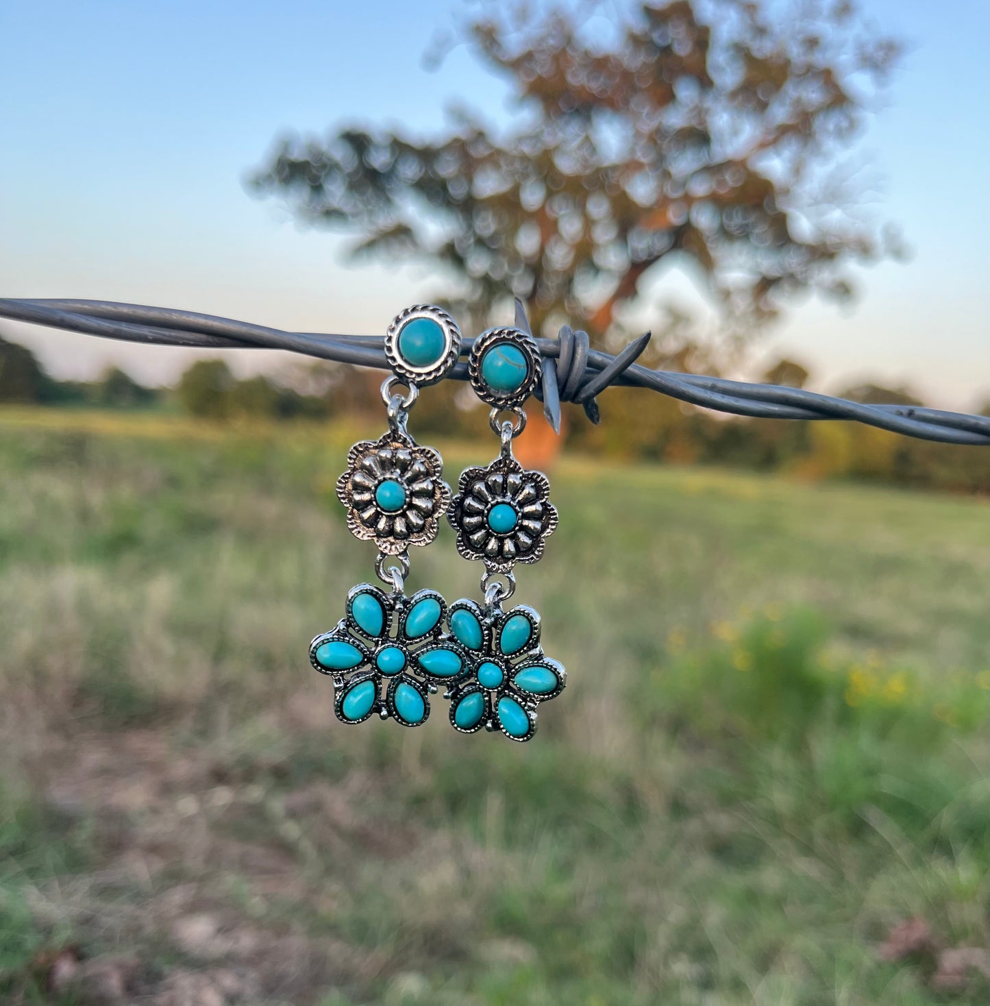 Canyon Point Earrings
