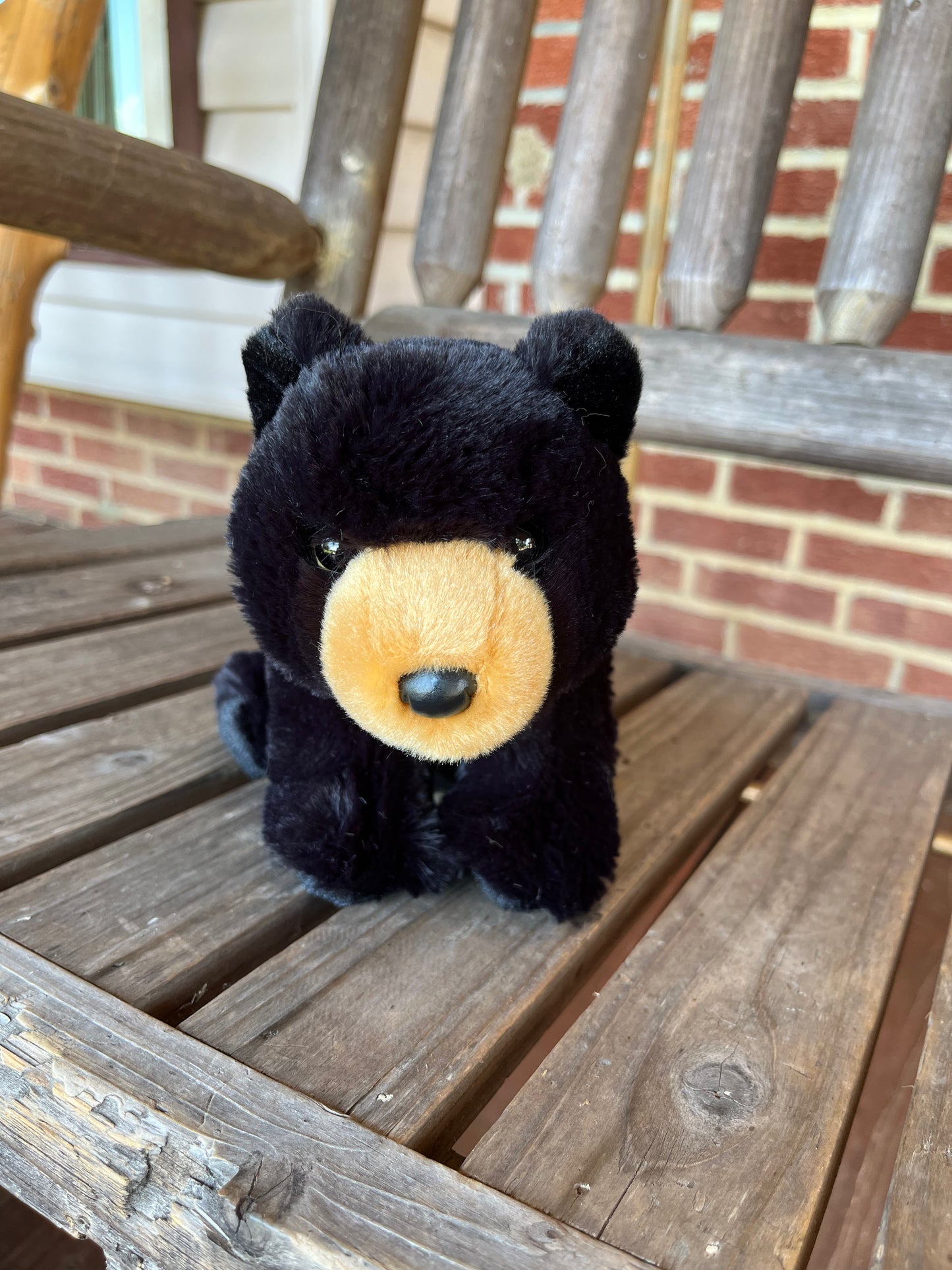 Mini Black Bear