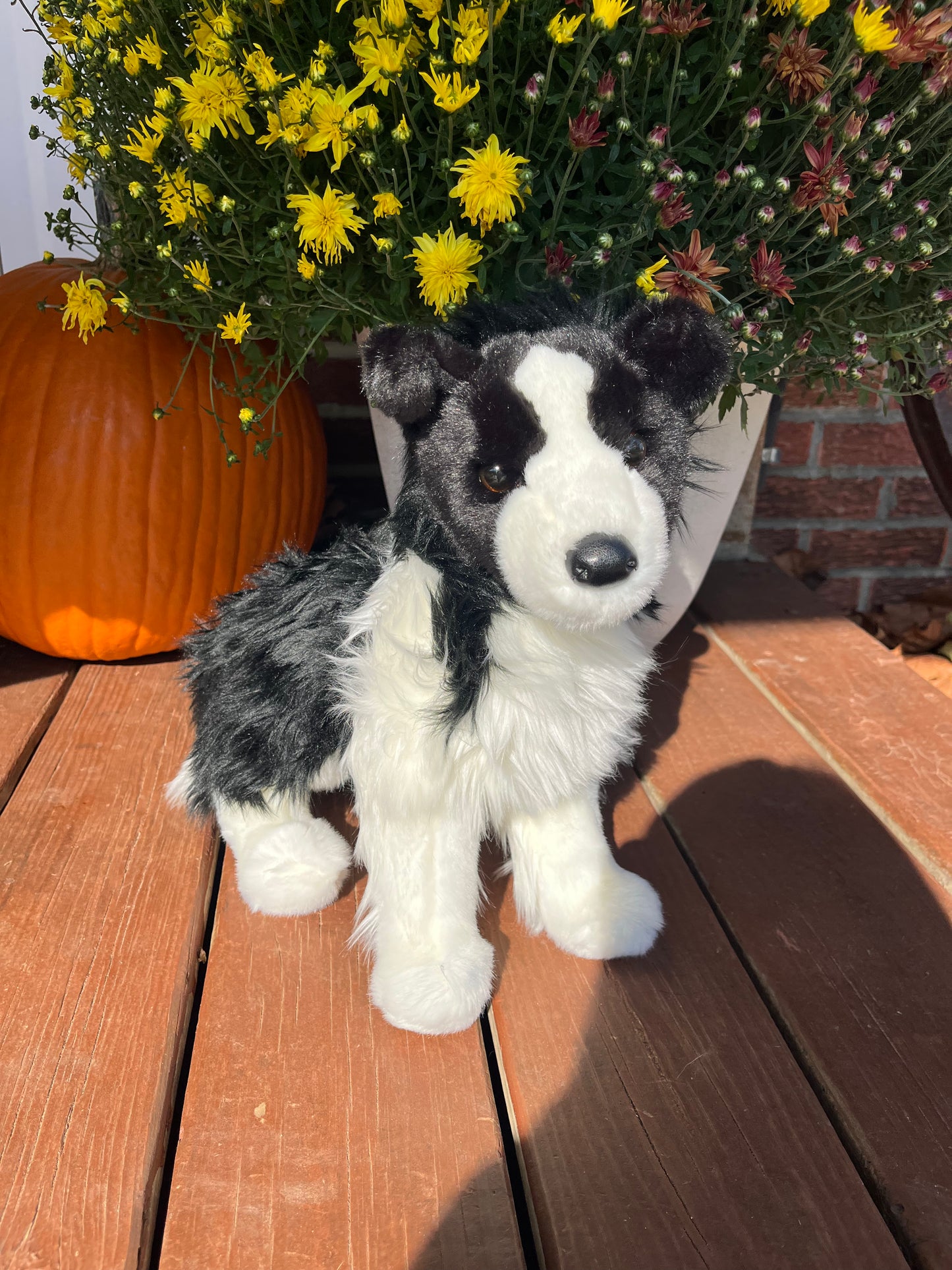 Border Collie Stuffy