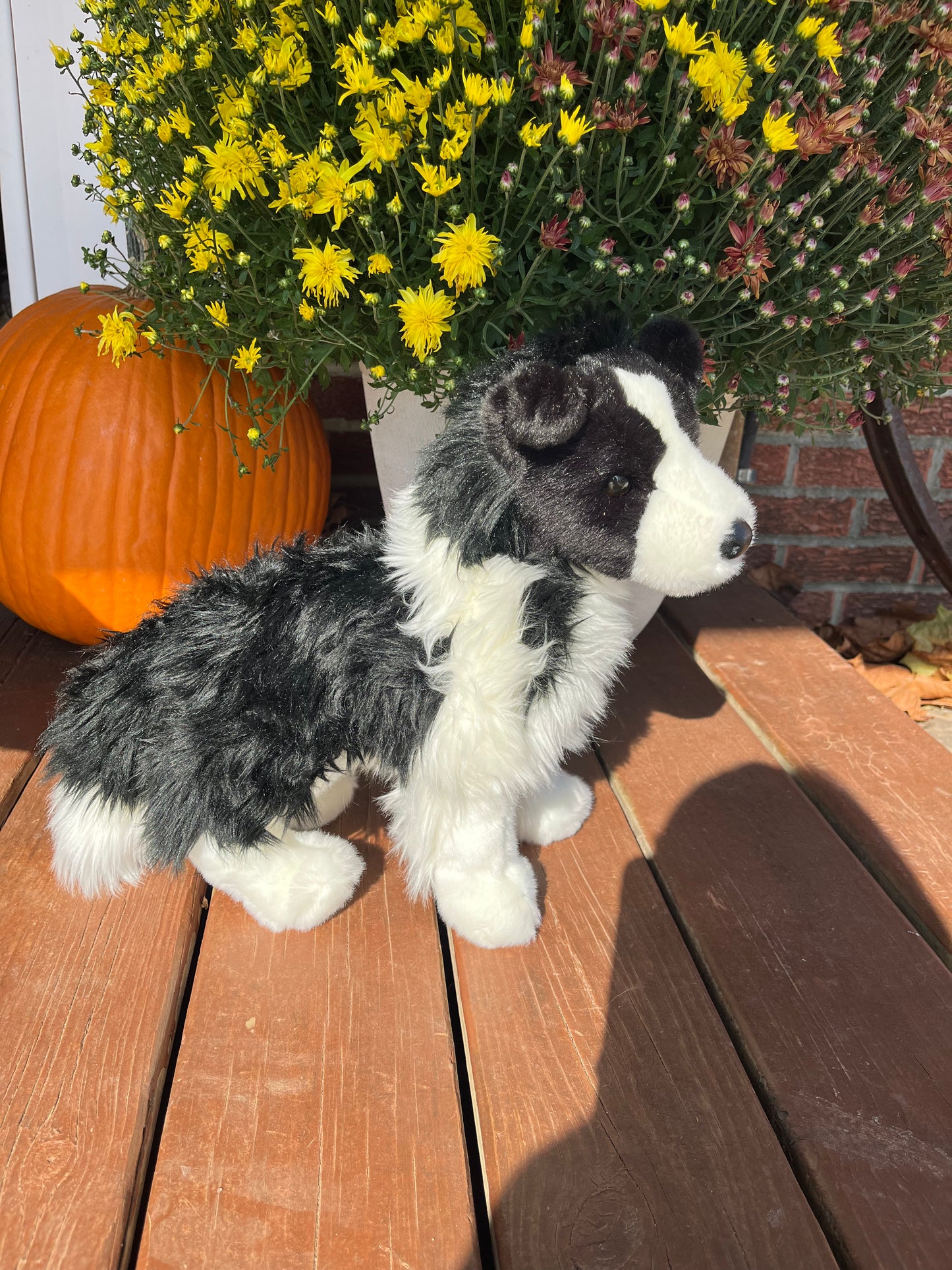 Border Collie Stuffy