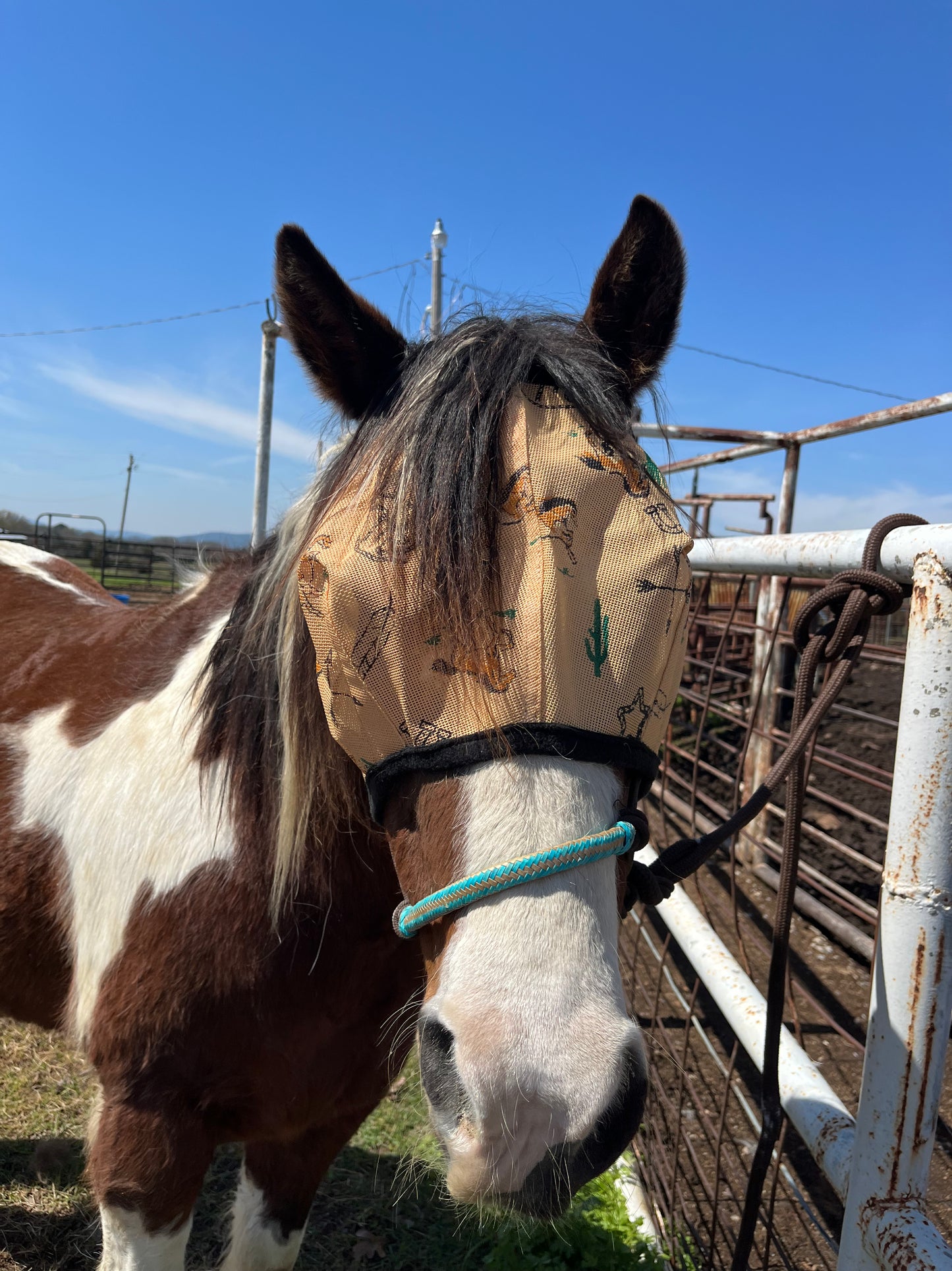 Southwestern Fly Mask