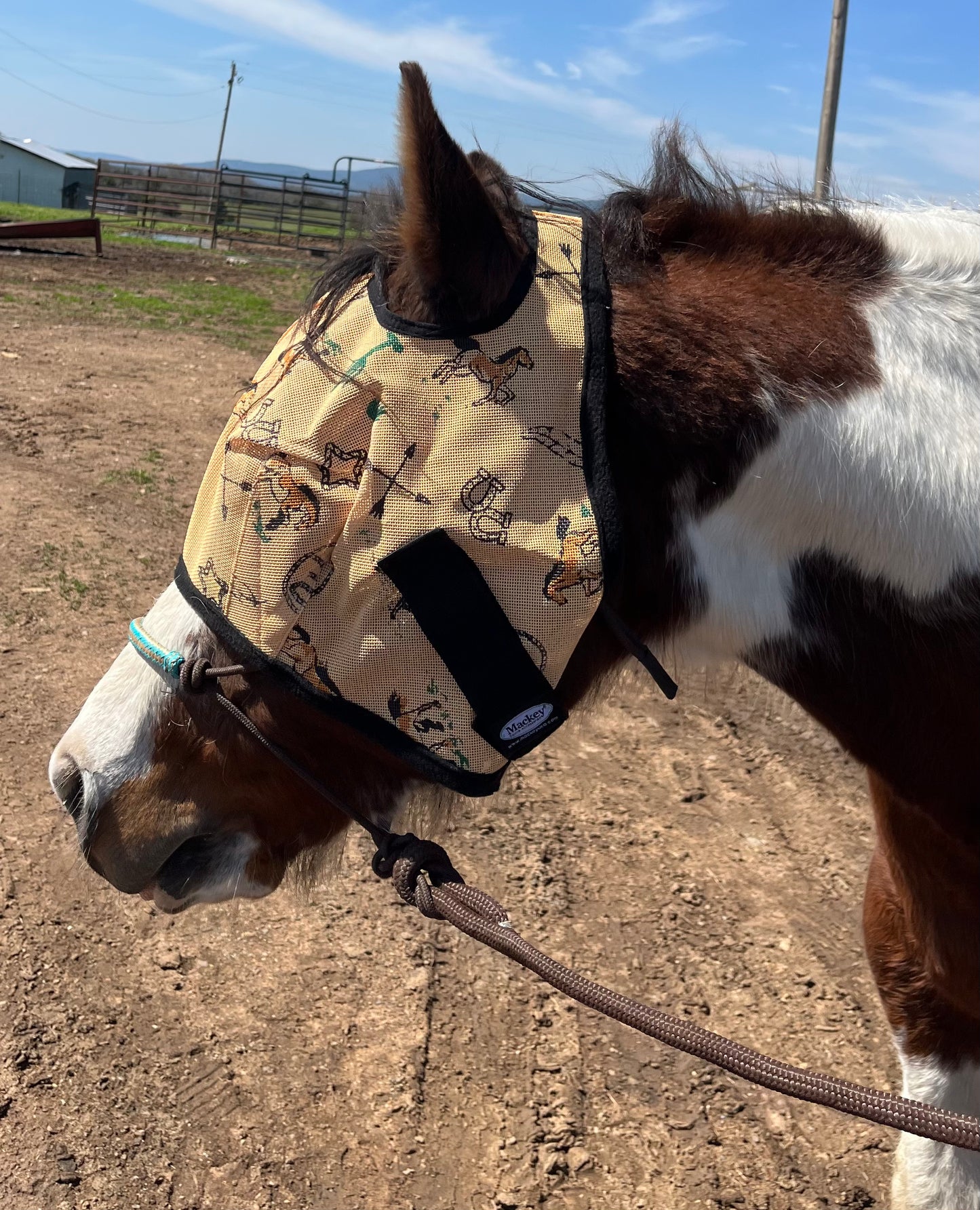 Southwestern Fly Mask