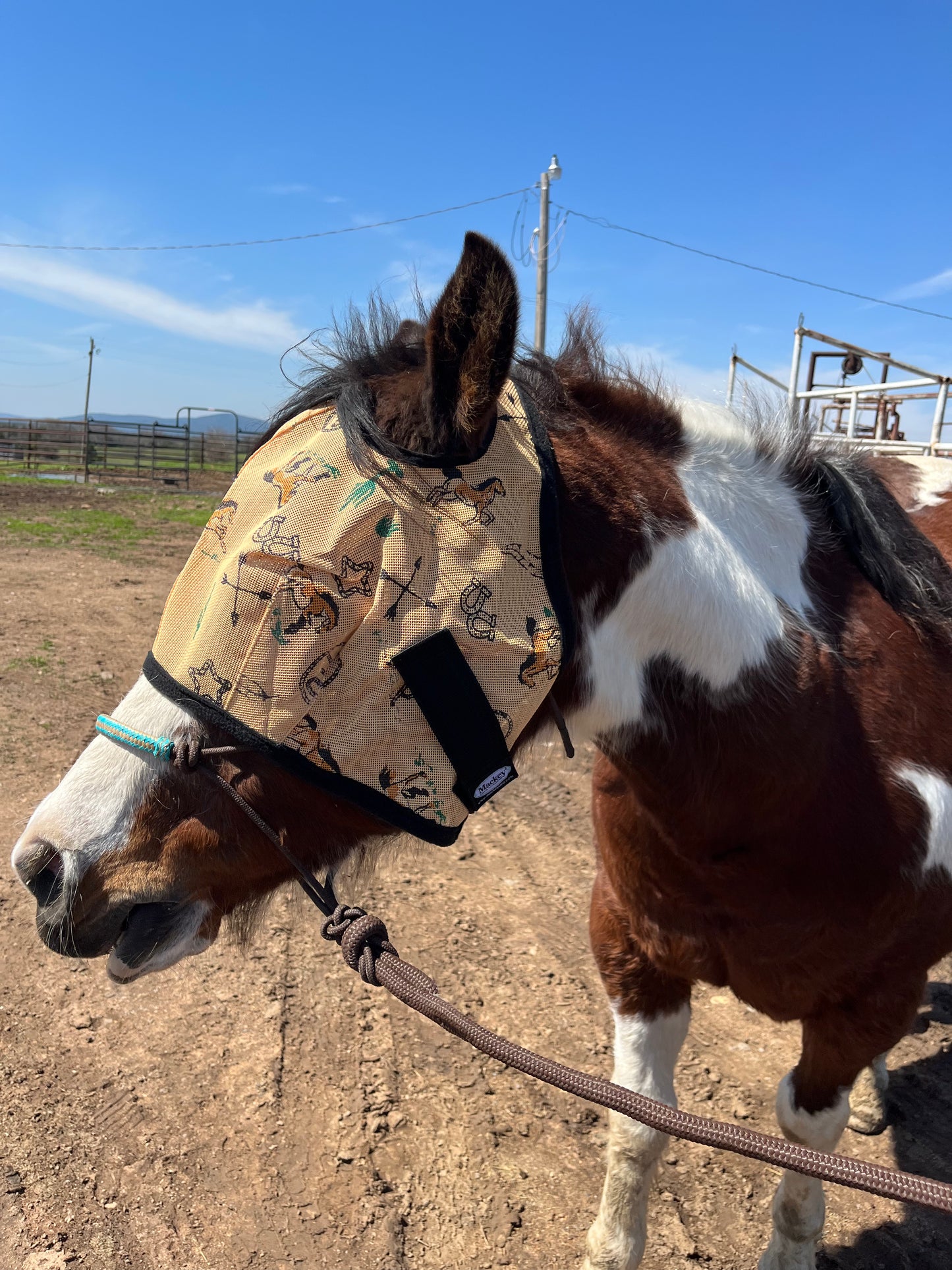 Southwestern Fly Mask