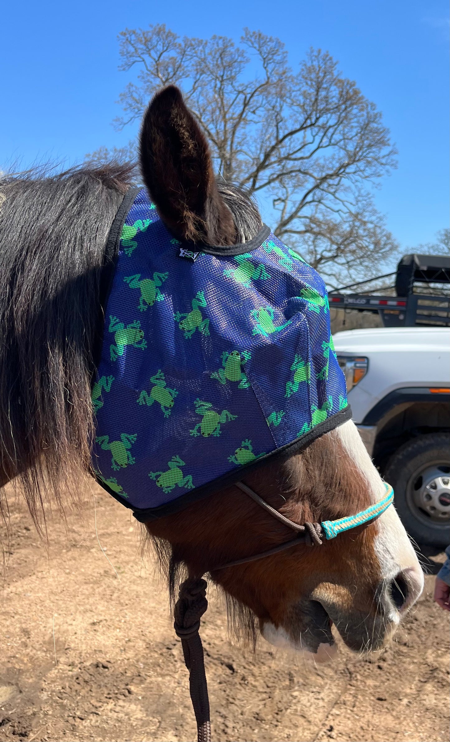 Froggie Fly Mask