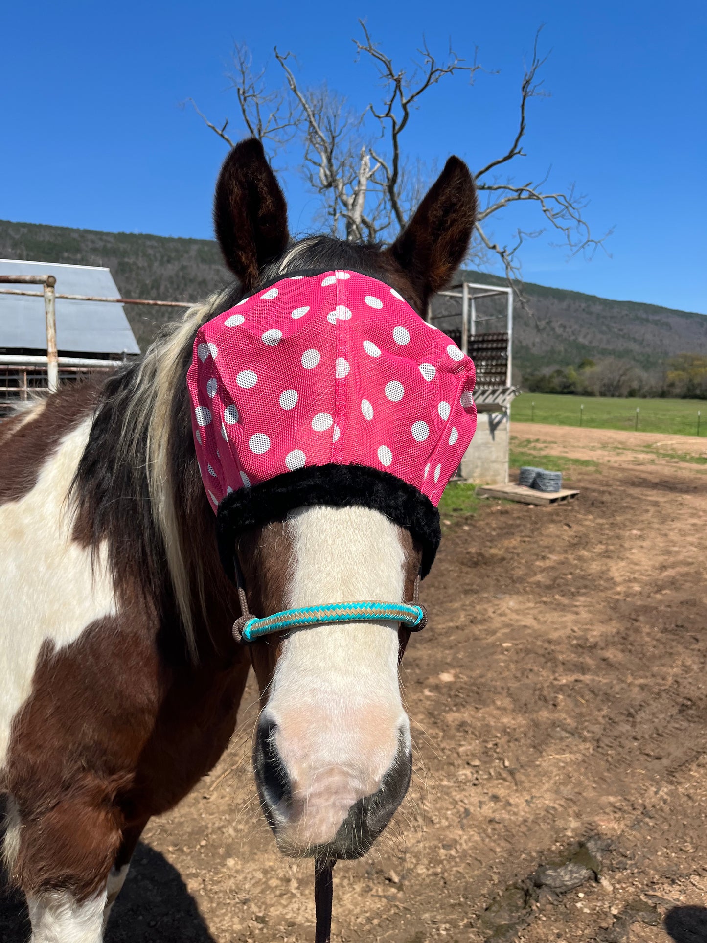 Pink Polka Dot Fly Mask