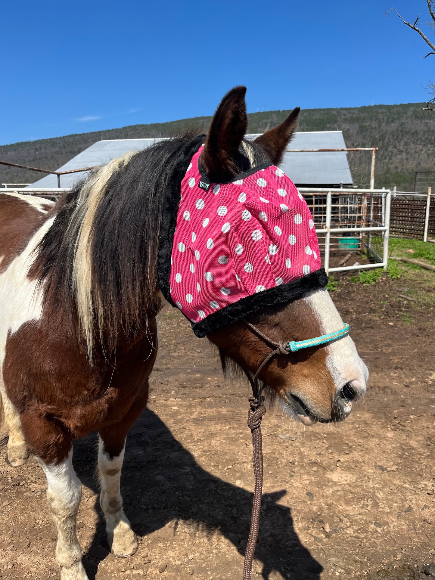 Pink Polka Dot Fly Mask