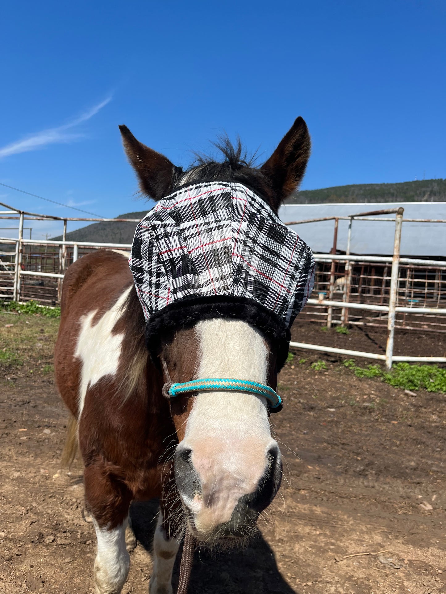 Pretty in Plaid Fly Mask