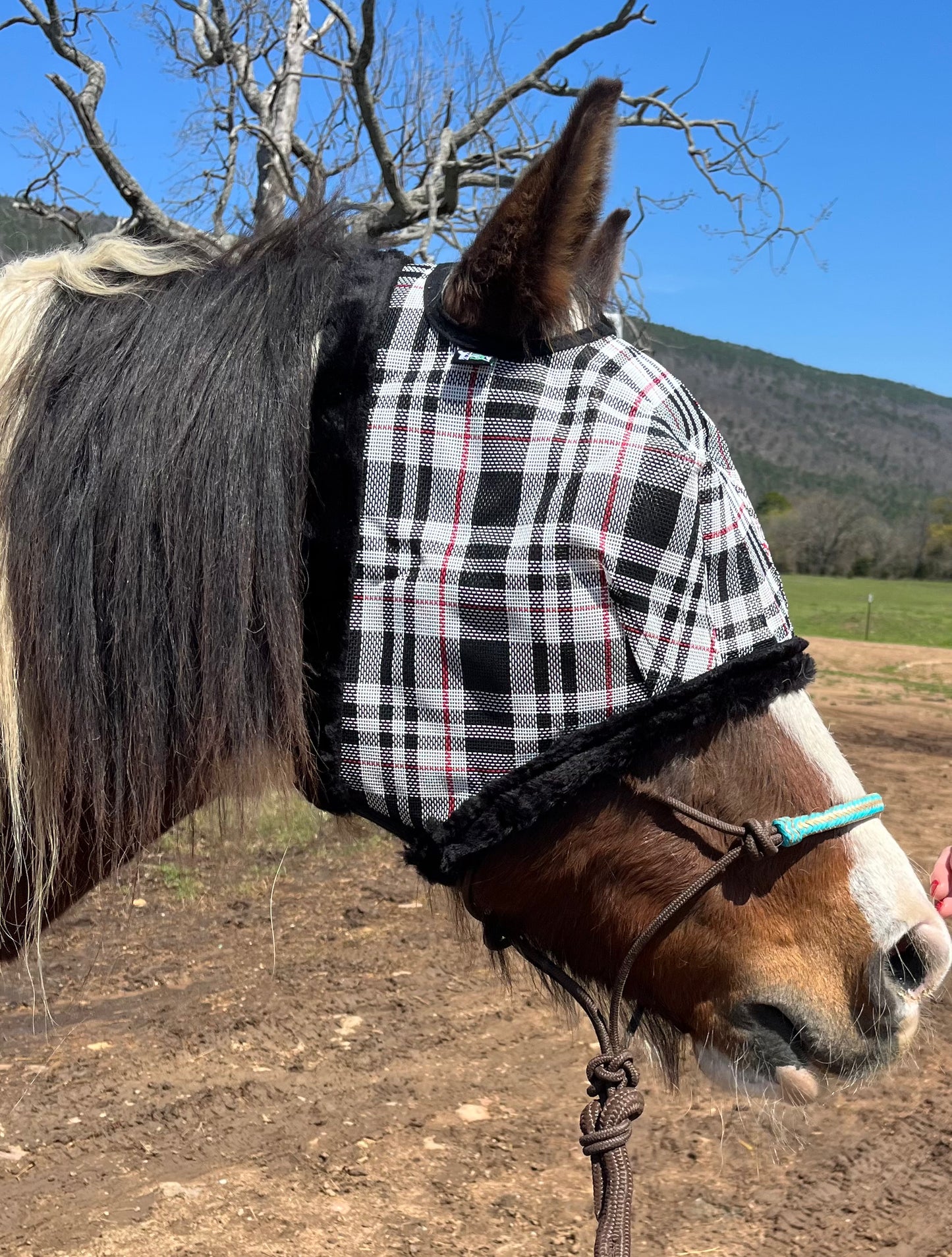 Pretty in Plaid Fly Mask