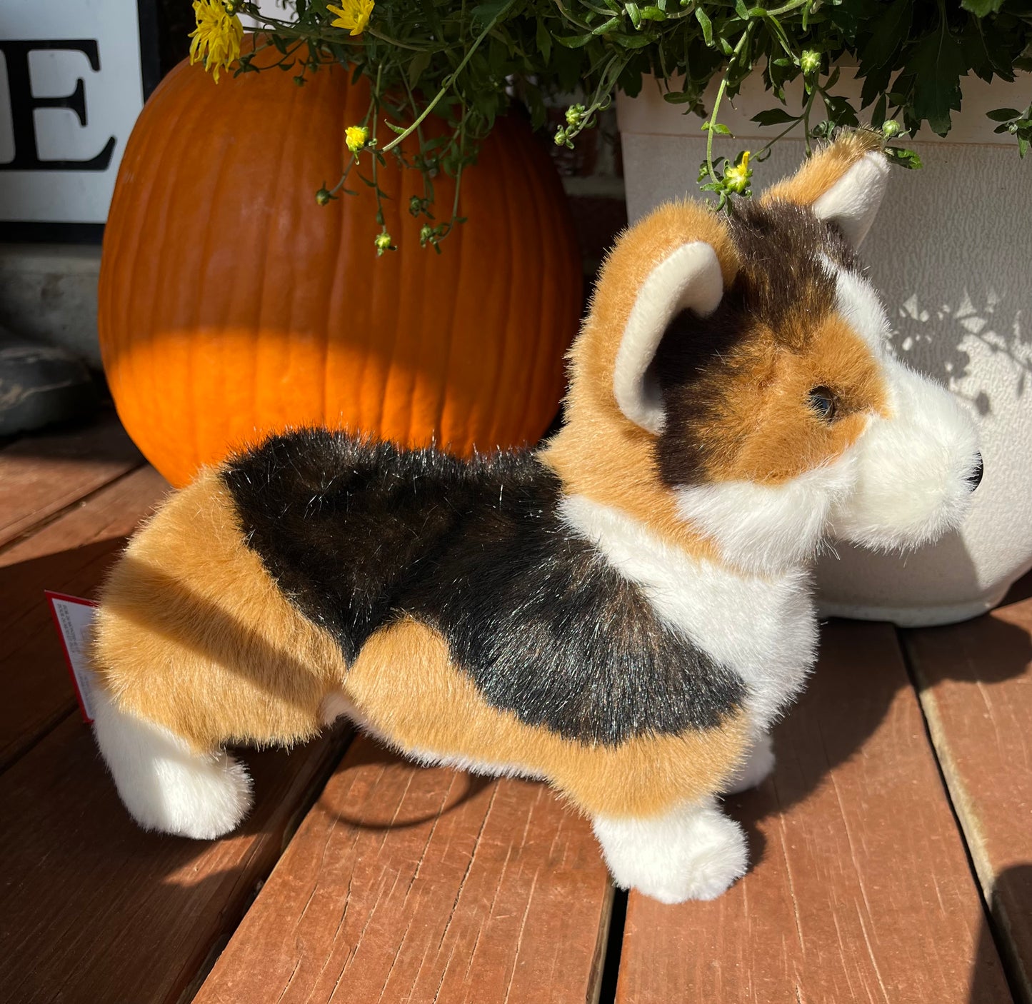 Medium Corgi Stuffy