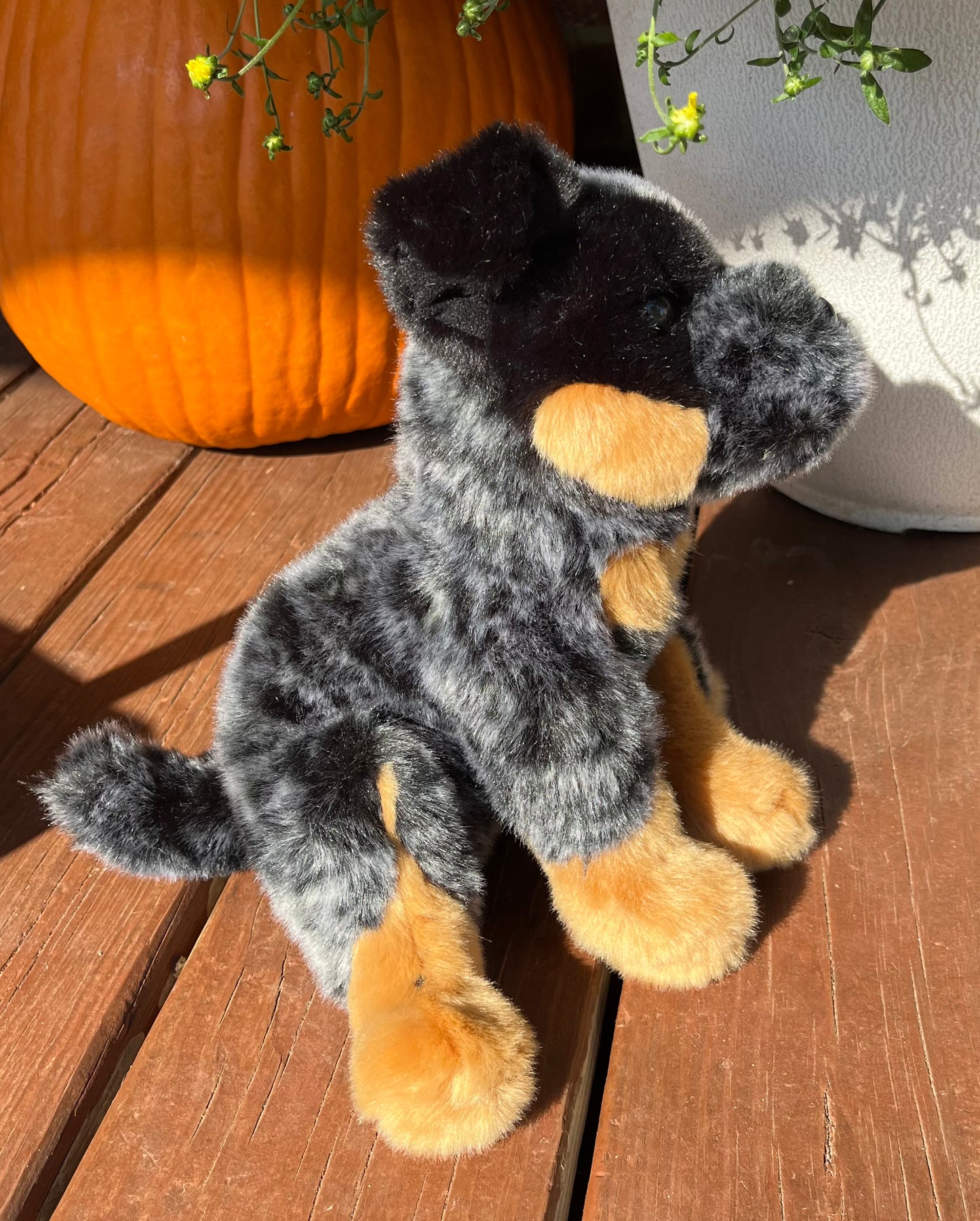 Medium Sized Heeler Stuffy