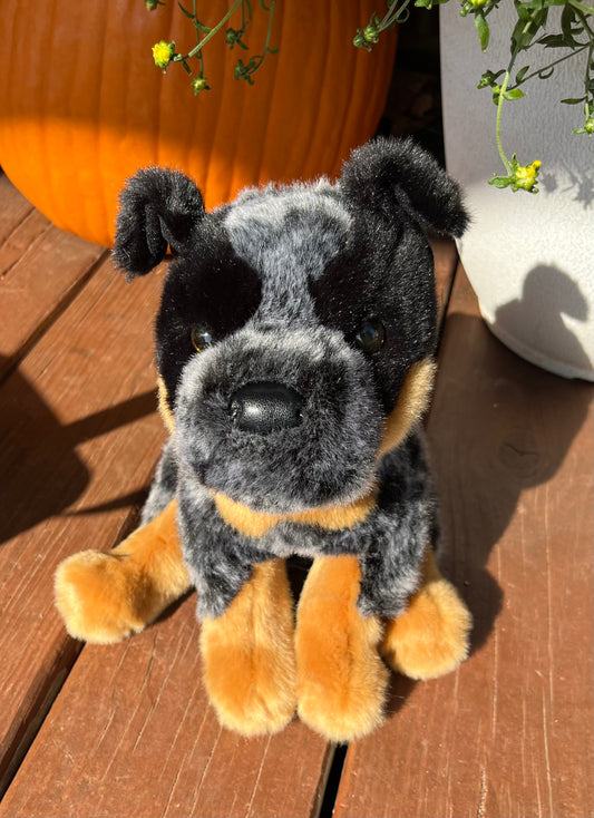 Medium Sized Heeler Stuffy