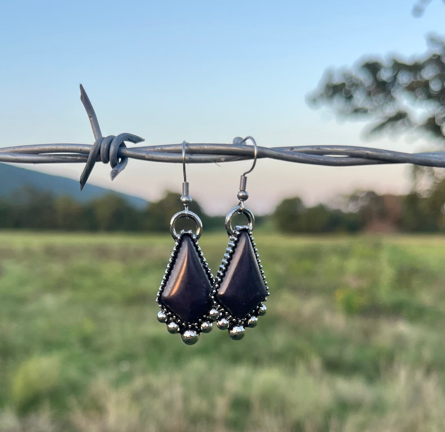 Black Beauty Earrings
