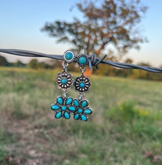 Canyon Point Earrings