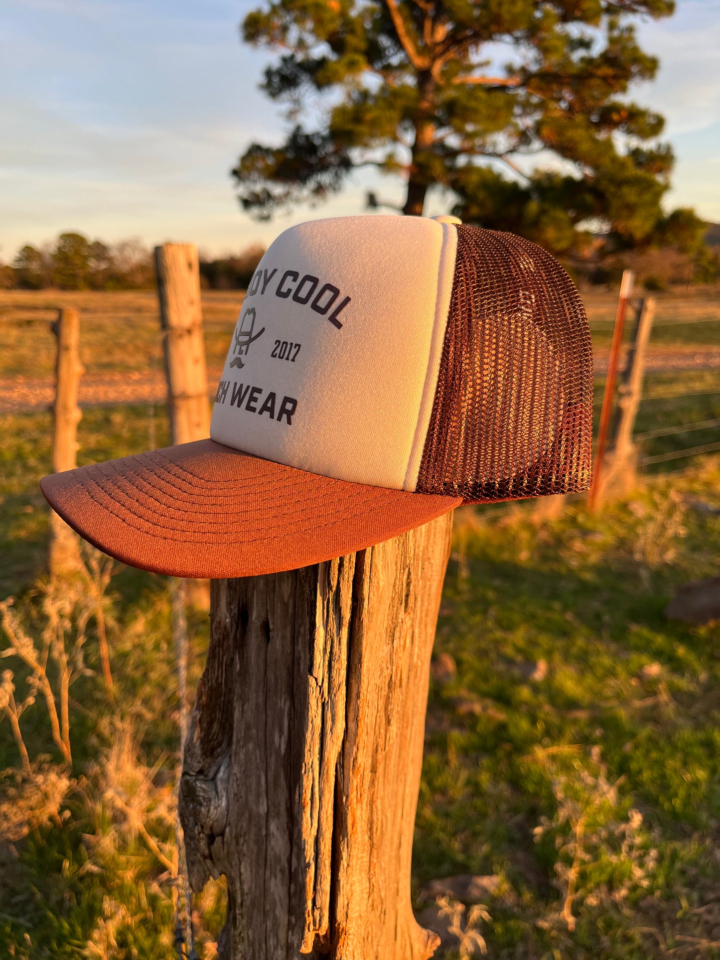 Cowboy Cool Foam Hat