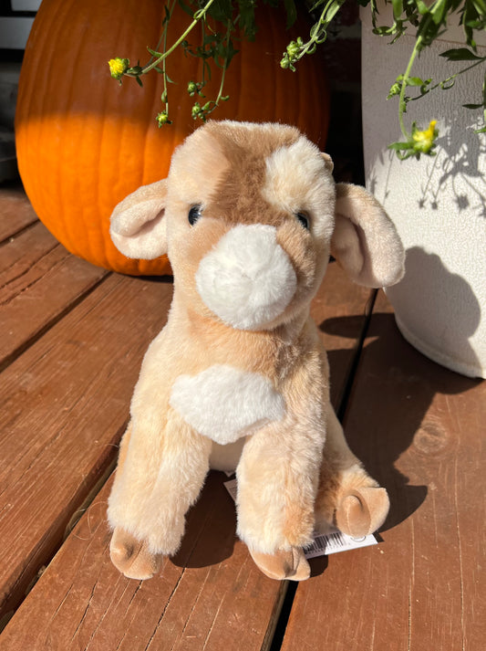 Goat Stuffy