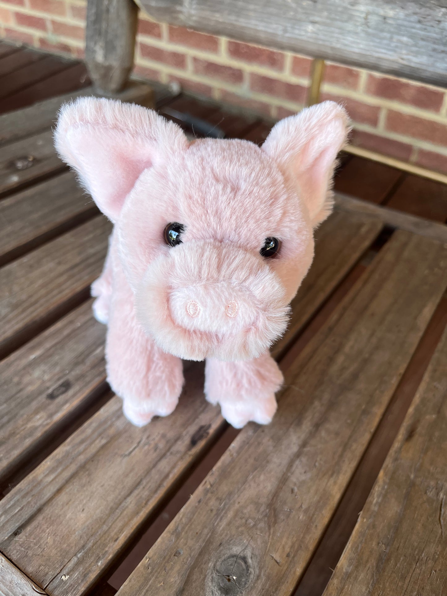 Mini Pig Stuffy