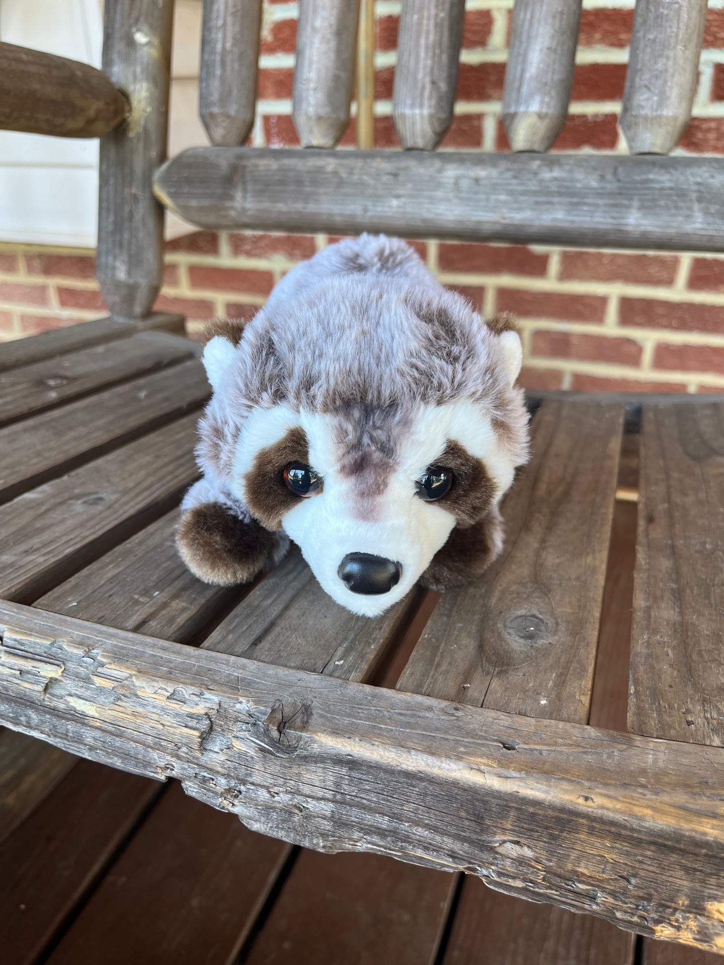 Raccoon Stuffy