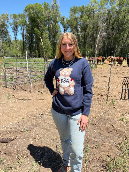 USA Bear Sweater