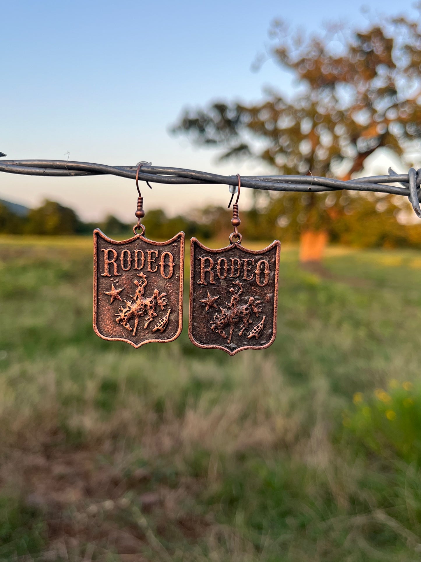 Vintage Rodeo Earrings