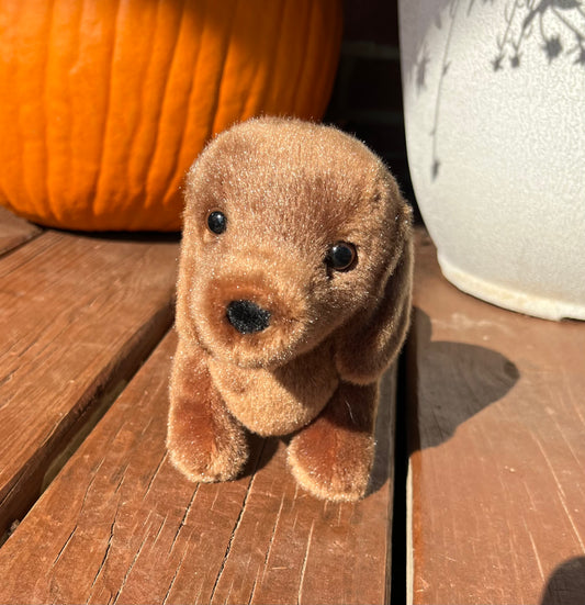 Dachshund Stuffy